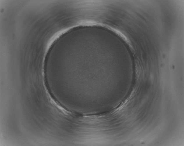 X0000071961327200607141425