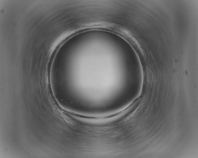 X0000071961328200607141425