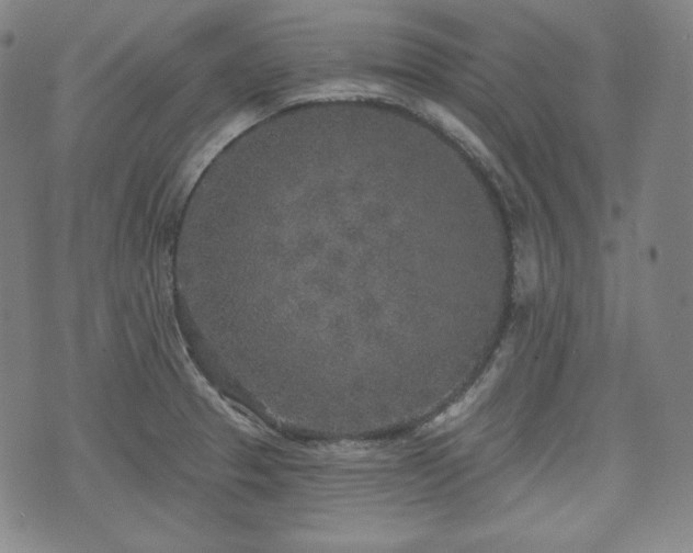 X0000071961329200607141425