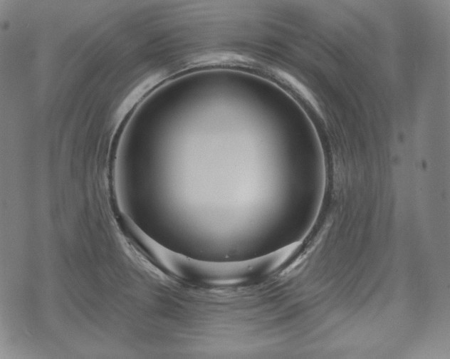 X0000071961330200607141425