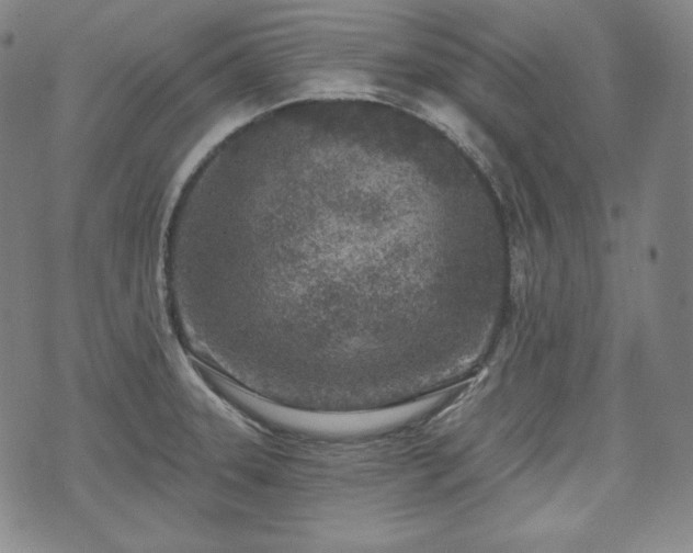 X0000071961331200607141425