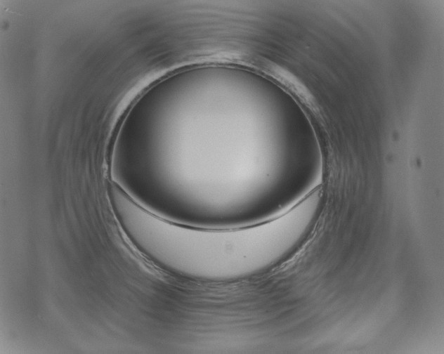 X0000071961332200607141425