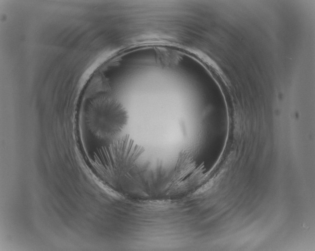 X0000071961333200607141425