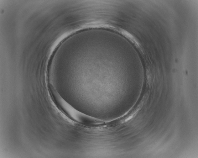 X0000071961334200607141425