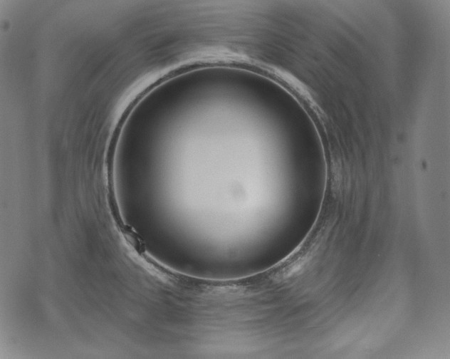 X0000071961335200607141425