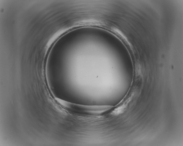 X0000071961336200607141425