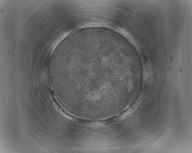 X0000071961337200607141425