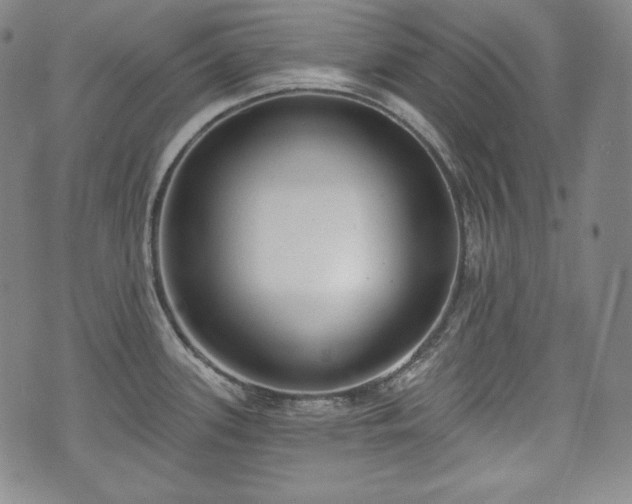 X0000071961339200607141425