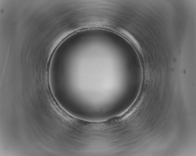 X0000071961340200607141425