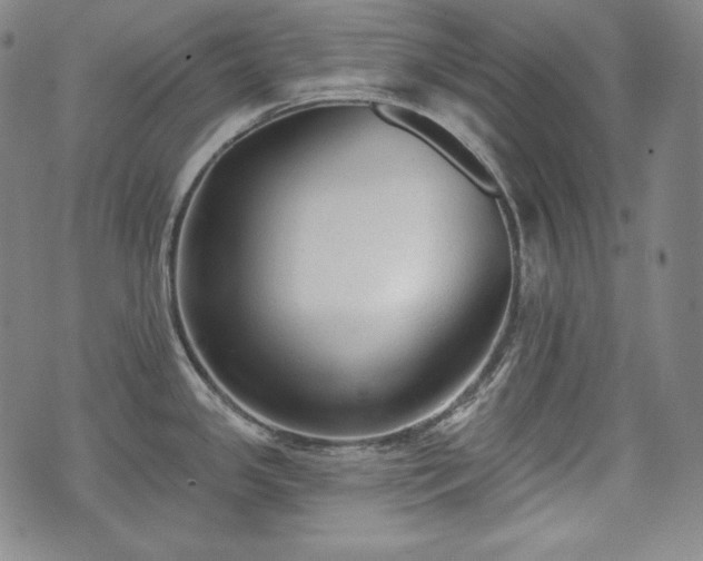 X0000071961341200607141425