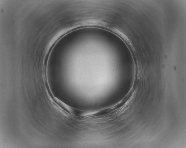 X0000071961342200607141425