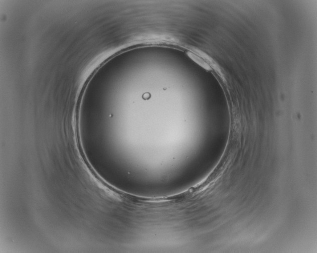 X0000071961343200607141425