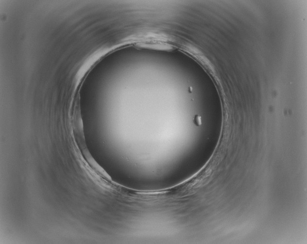 X0000071961344200607141425