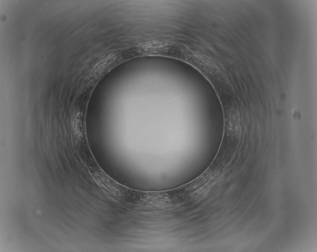 X0000071961346200607141424