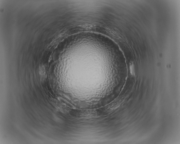 X0000071961347200607141424