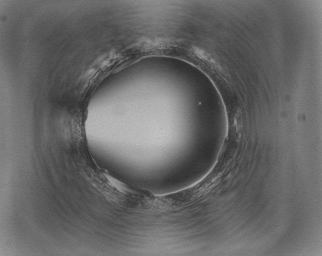 X0000071961348200607141424