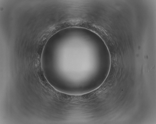 X0000071961349200607141424