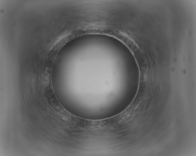 X0000071961350200607141424