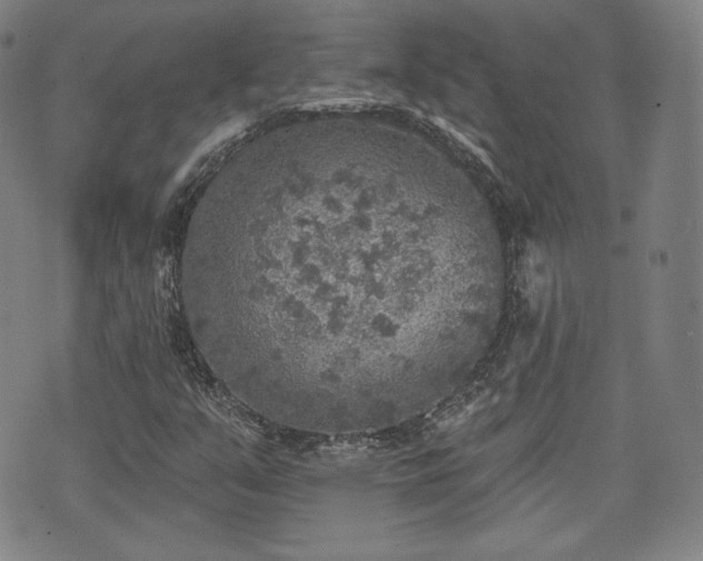 X0000071961351200607141424