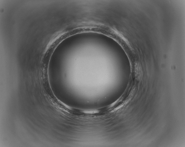 X0000071961352200607141424