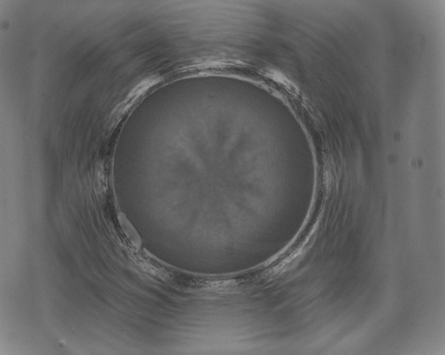 X0000071961353200607141424