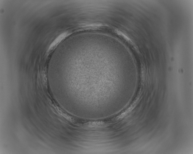 X0000071961354200607141424