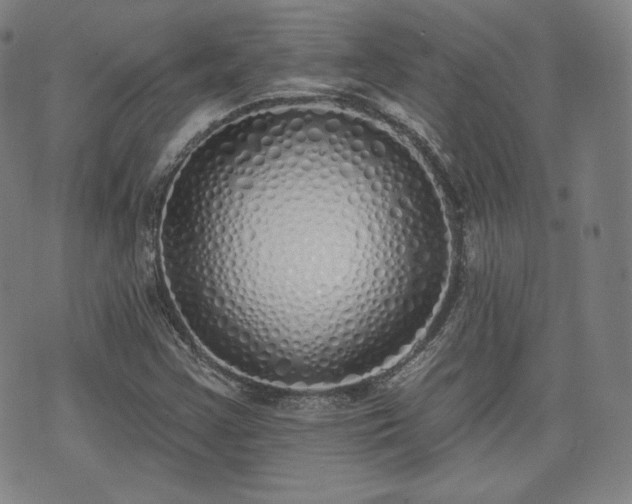 X0000071961355200607141424