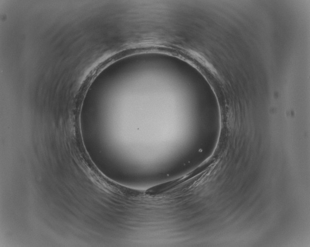 X0000071961356200607141424