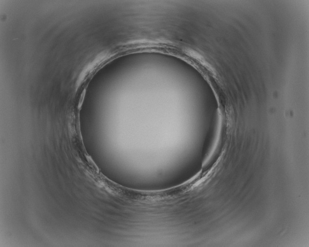 X0000071961357200607141424