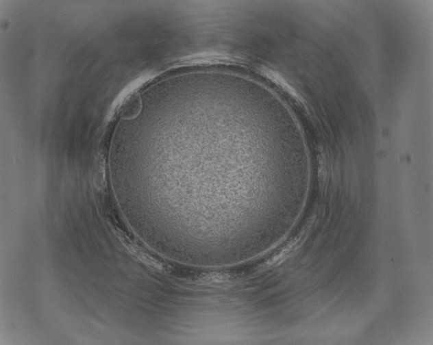 X0000071961358200607141424