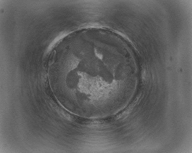 X0000071961359200607141424