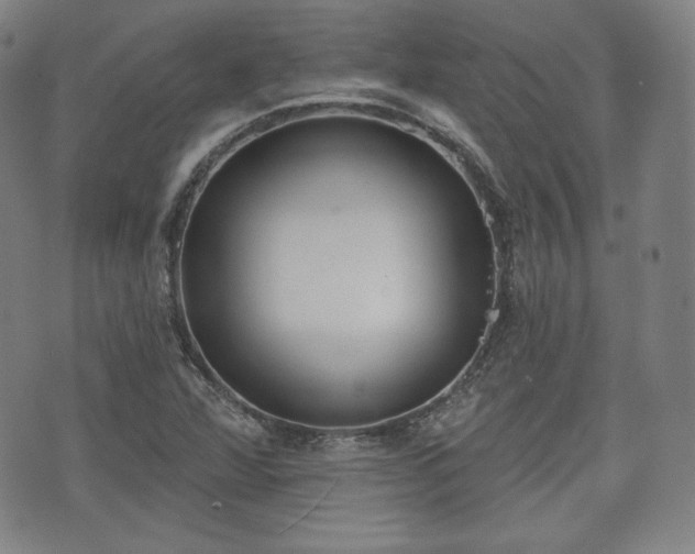 X0000071961360200607141424