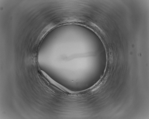 X0000071961361200607141424