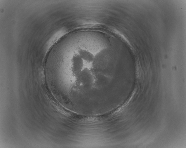 X0000071961362200607141424