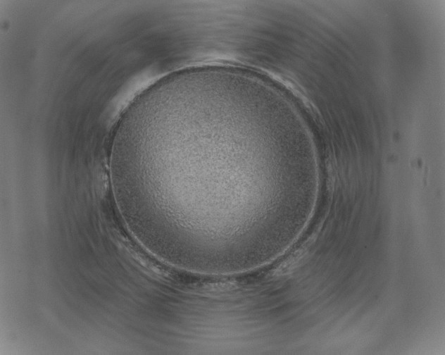 X0000071961363200607141424