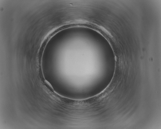 X0000071961364200607141424