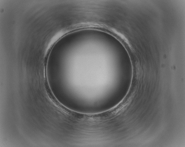 X0000071961365200607141424