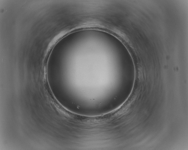 X0000071961366200607141424