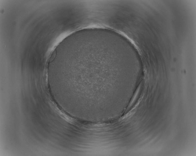 X0000071961367200607141424