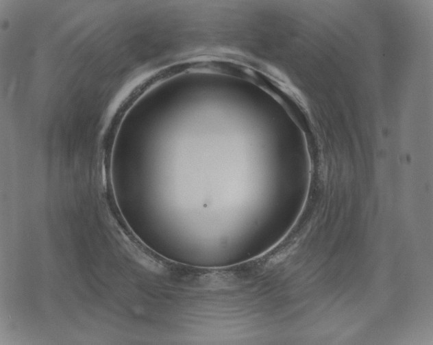 X0000071961368200607141424