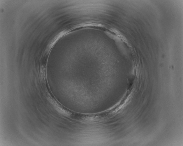 X0000071961369200607141424