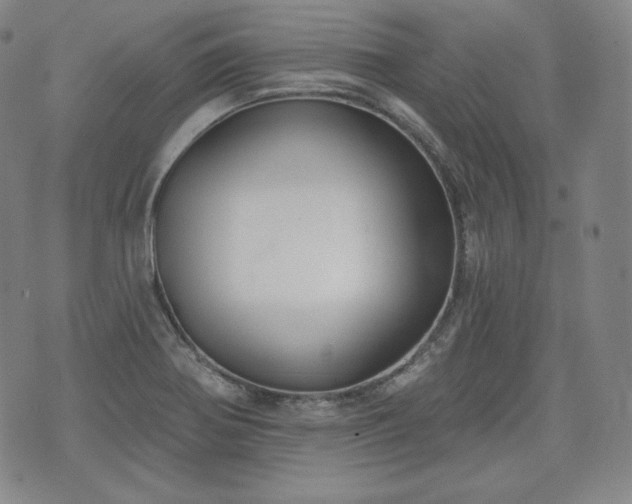 X0000071961370200607141424