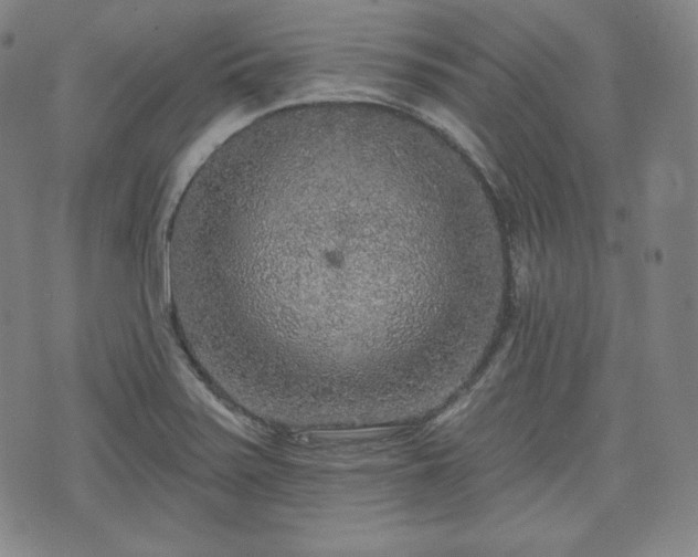 X0000071961371200607141424