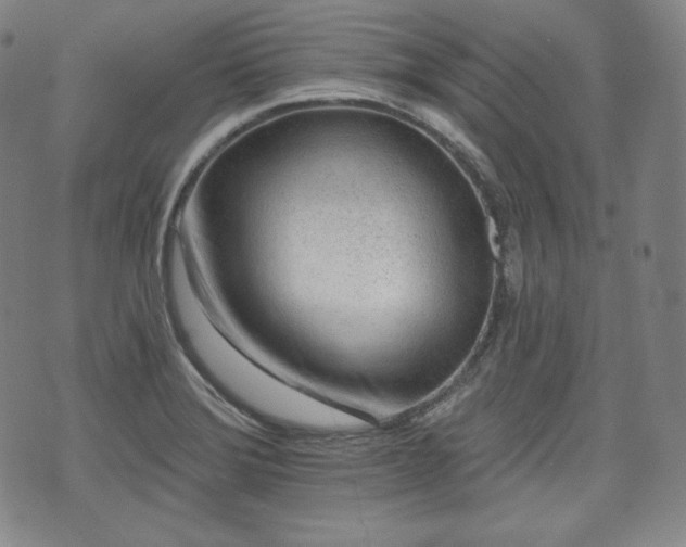 X0000071961372200607141424