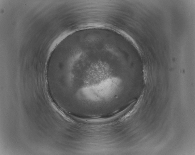 X0000071961373200607141424