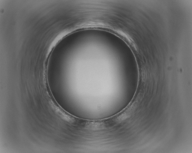 X0000071961374200607141424