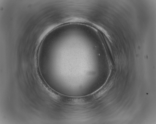 X0000071961375200607141423