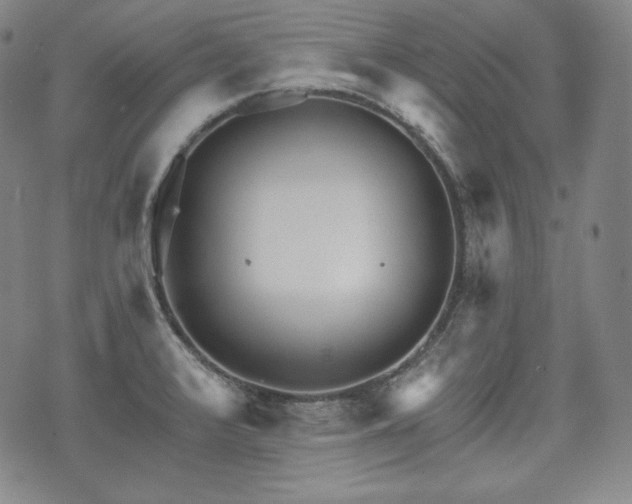 X0000071961376200607141423