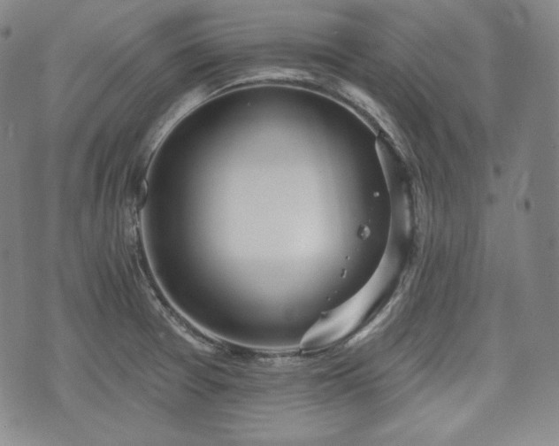 X0000071961377200607141423