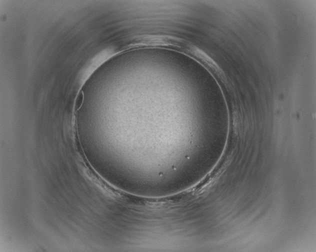 X0000071961378200607141423